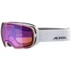Remise 🔥 Ski Alpina Alpina Granby Qhm 🥰 -Salomon magasin fcbc9c42b67c4cf780620af7846b54f4